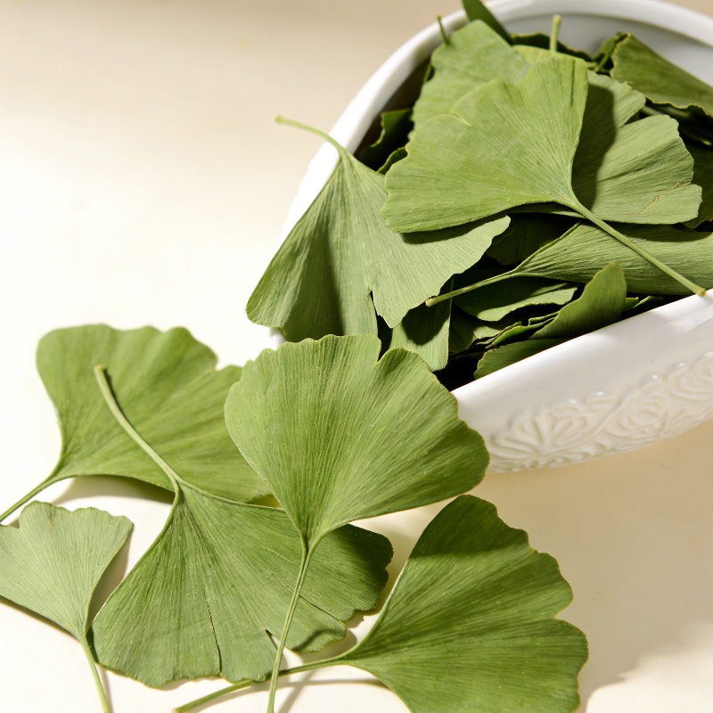 Quality Home Fragrance - Feuilles de Ginkgo Biloba séchées de