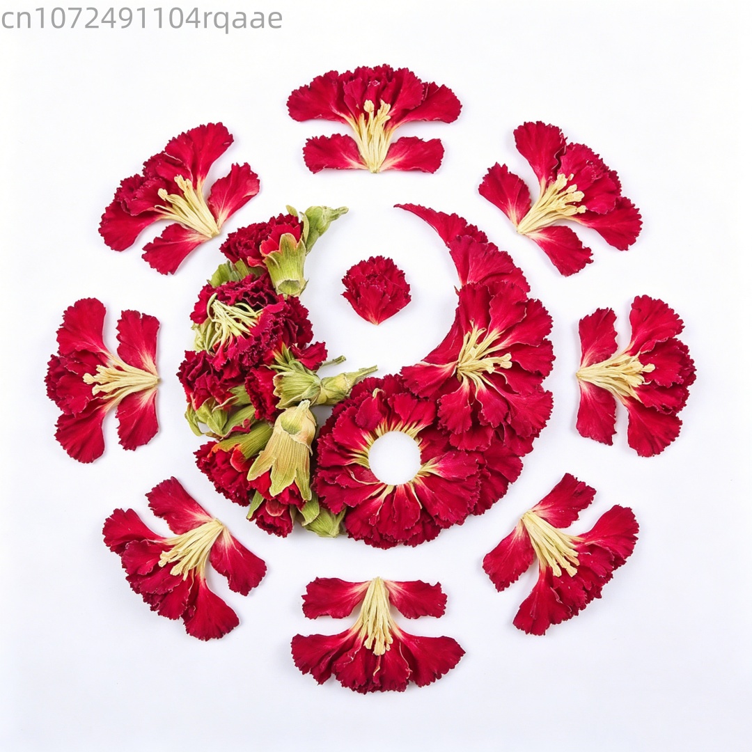 Potpourri Dried Flower - Pétales de carnation naturels séchés de