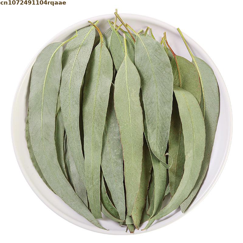 Feuilles d'eucalyptus naturell - Potpourri Dried Flower avis et prix