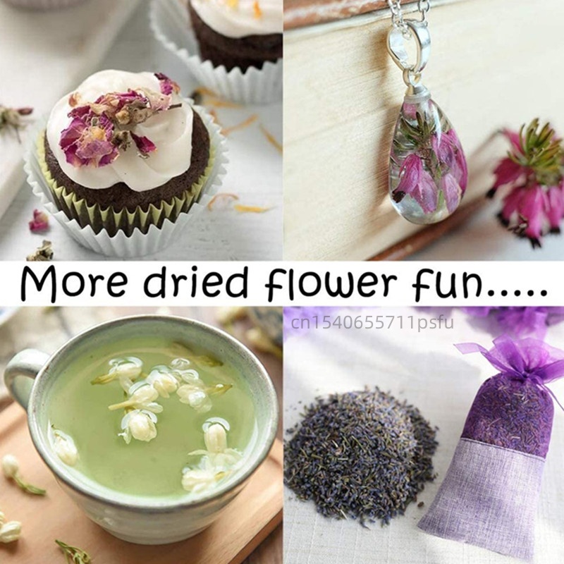 Pétales de jasmin naturels de  - Potpourri Dried Flower avis et prix